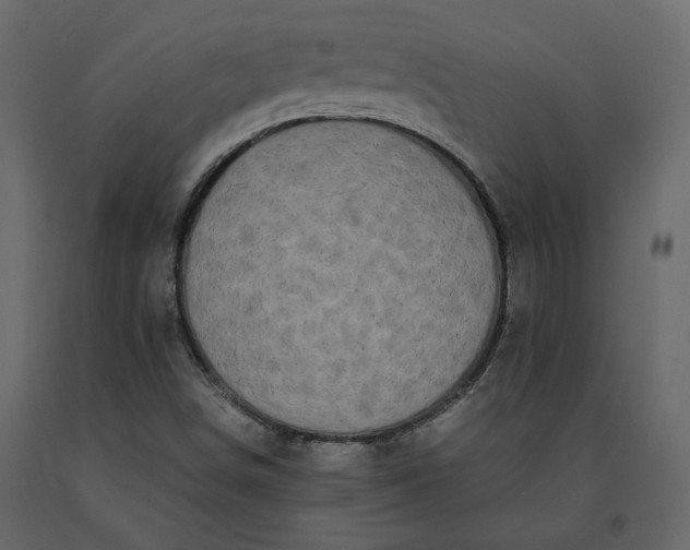 X0000091241498200708231705