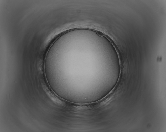 X0000091241499200708231705