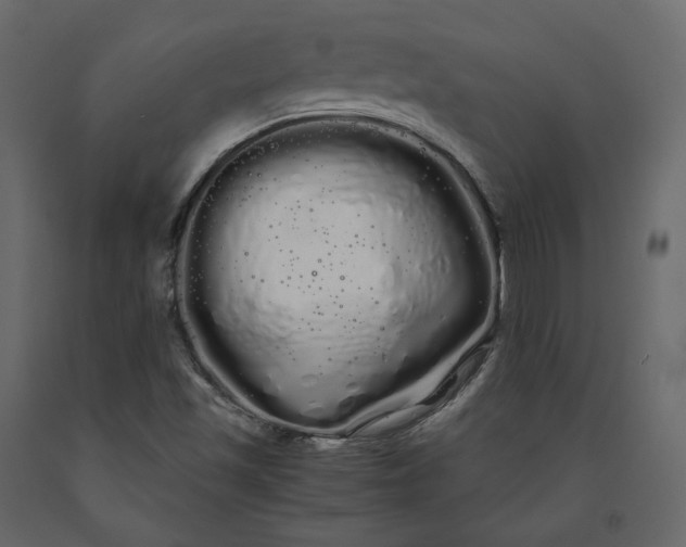 X0000091241501200708231705