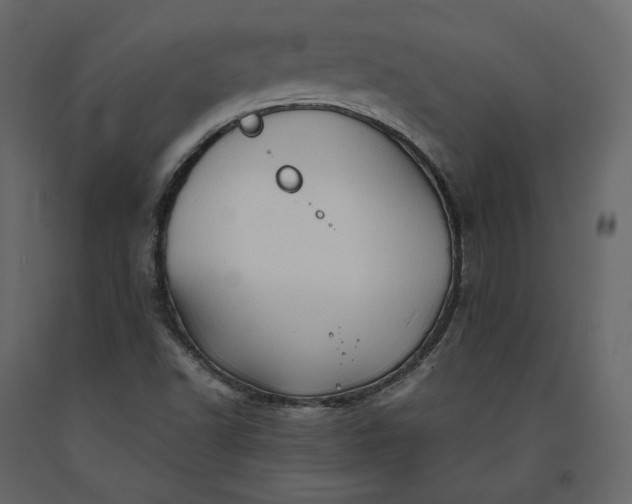 X0000091241502200708231705