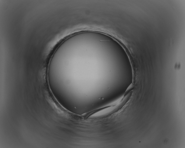 X0000091241503200708231705