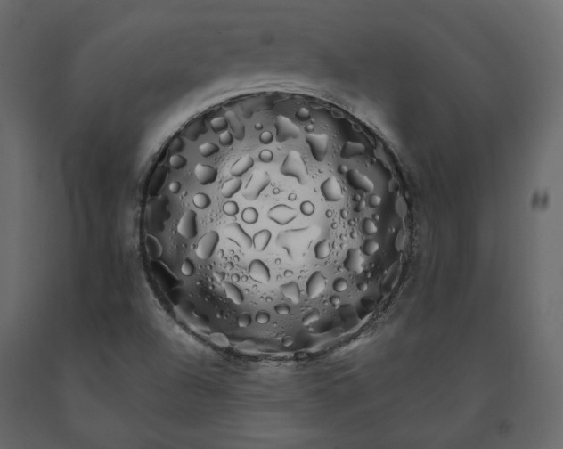 X0000091241504200708231705