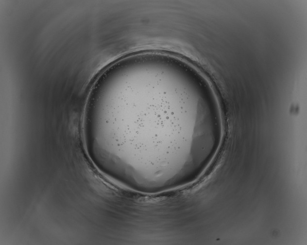 X0000091241505200708231705