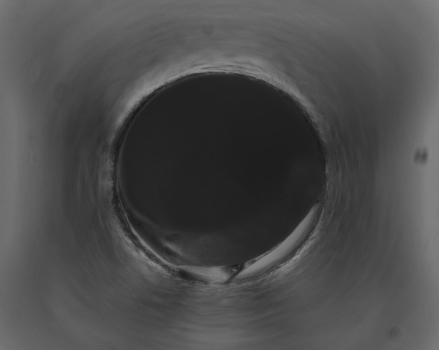 X0000091241506200708231705