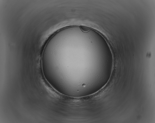 X0000091241507200708231705