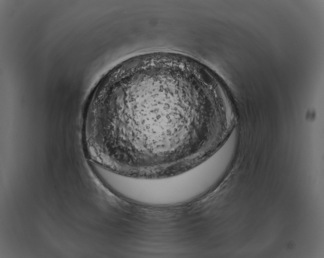 X0000091241508200708231705