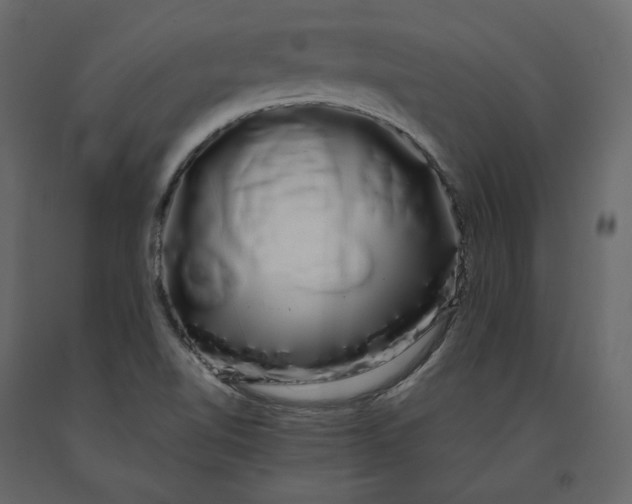 X0000091241510200708231705