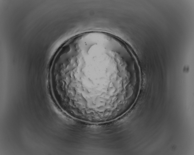 X0000091241511200708231705