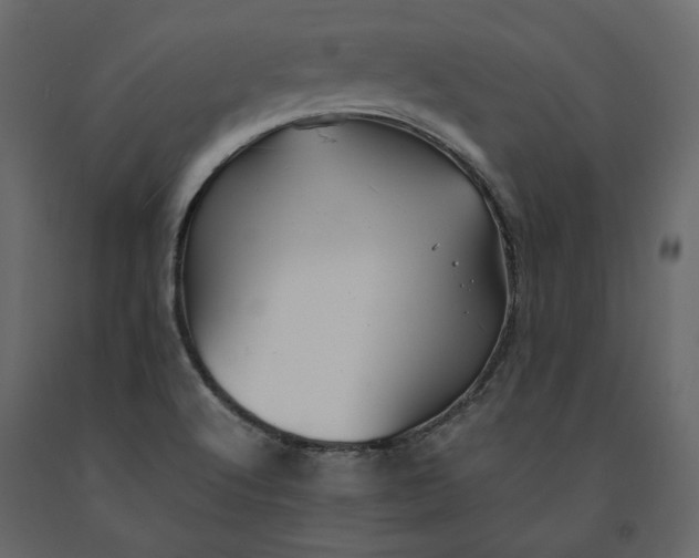 X0000091241512200708231705