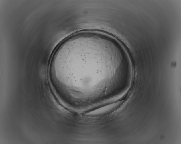 X0000091241513200708231705