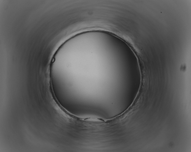 X0000091241516200708231705