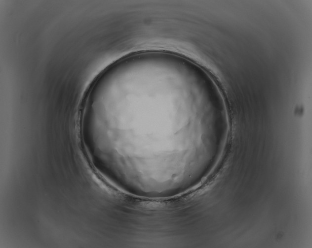 X0000091241517200708231705