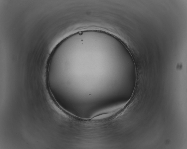 X0000091241518200708231705