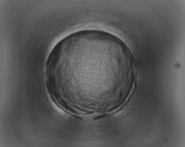 X0000091241519200708231705
