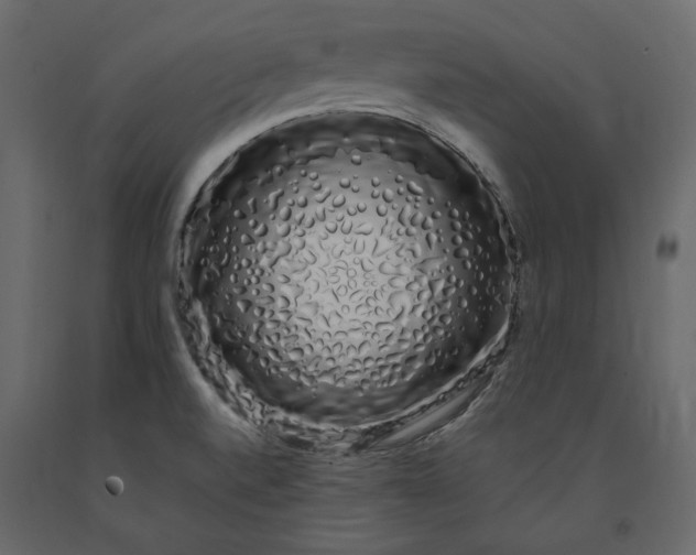 X0000091241520200708231705