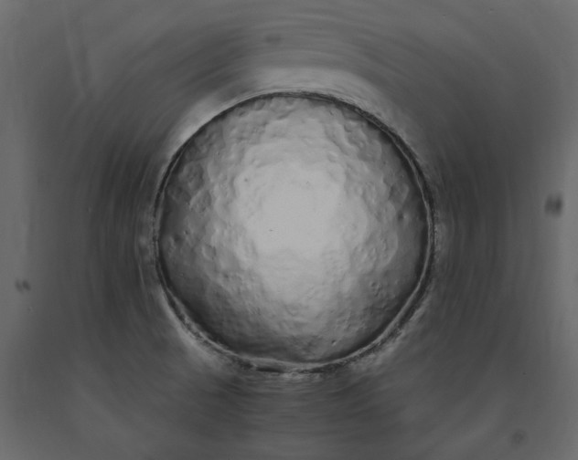 X0000091241521200708231705