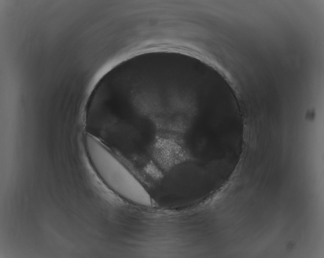 X0000091241522200708231705
