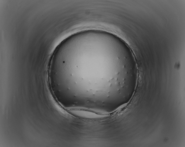 X0000091241523200708231705