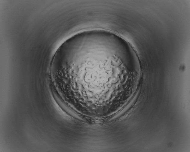 X0000091241524200708231706