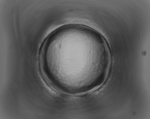 X0000091241525200708231706