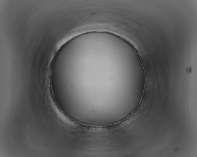 X0000091241526200708231706