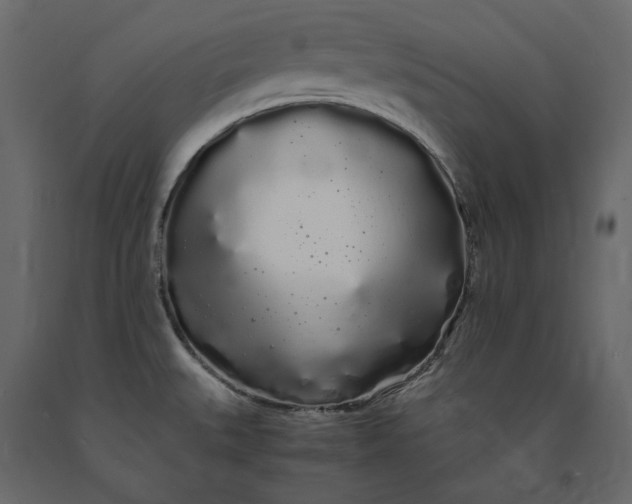 X0000091241527200708231706