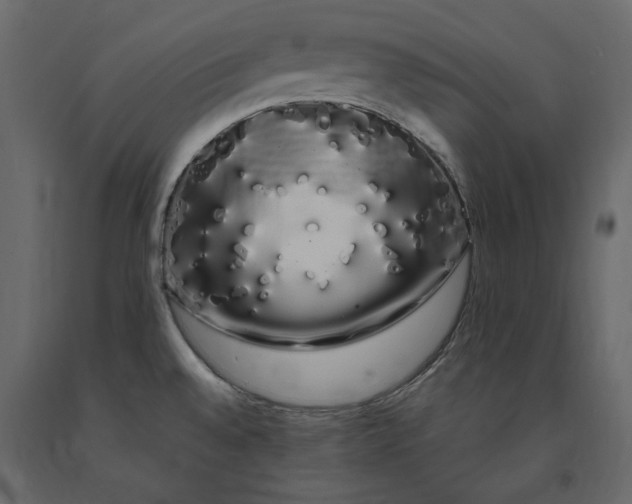 X0000091241528200708231706