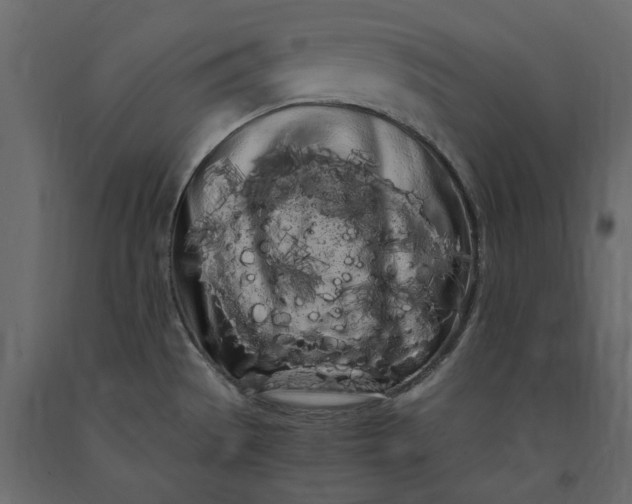 X0000091241529200708231706