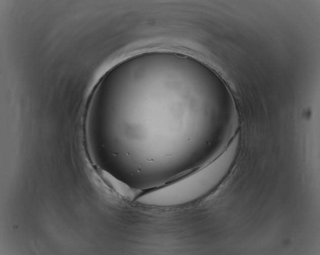X0000091241530200708231706