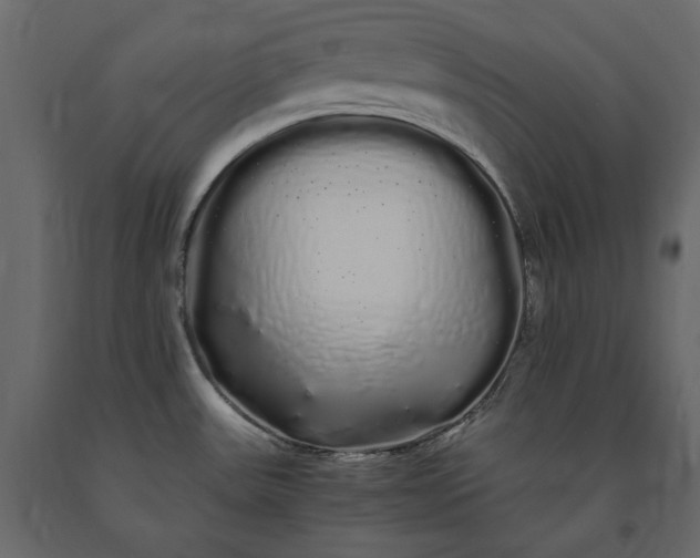 X0000091241531200708231706