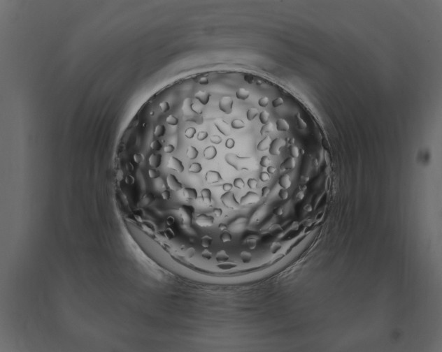 X0000091241532200708231706