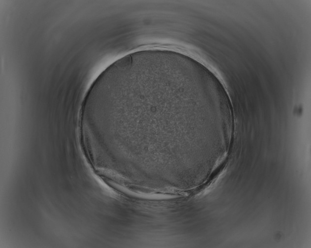 X0000091241533200708231706