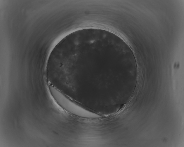 X0000091241536200708231706