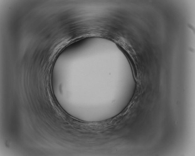 X0000091240001200708301549