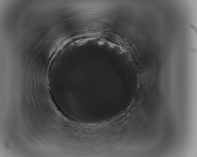 X0000091240002200708301549