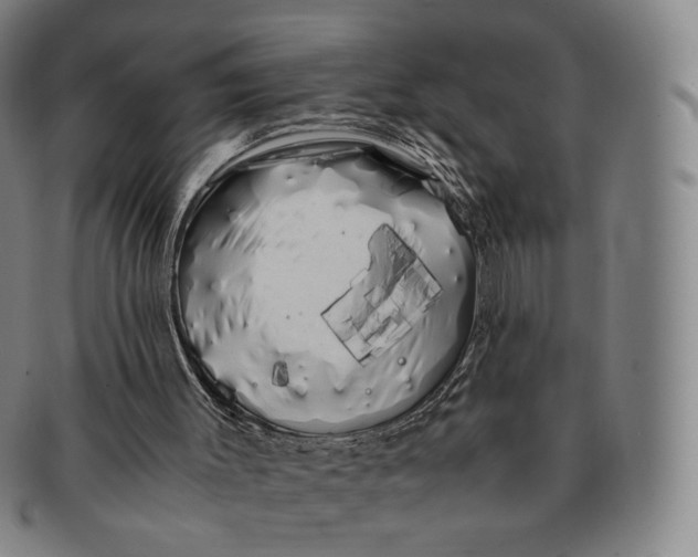 X0000091240003200708301549