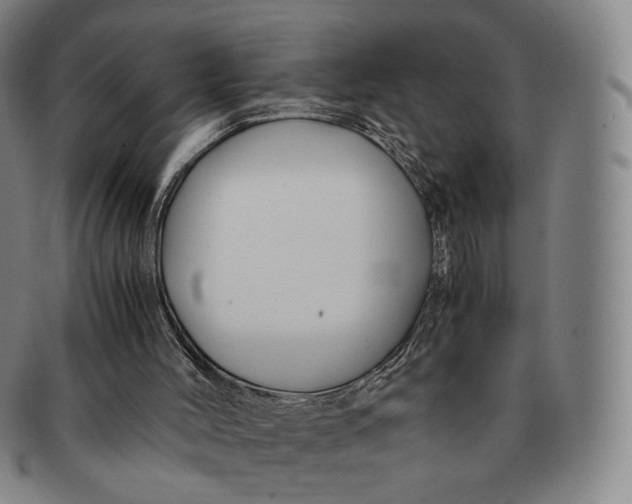 X0000091240004200708301549