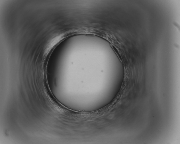 X0000091240005200708301549