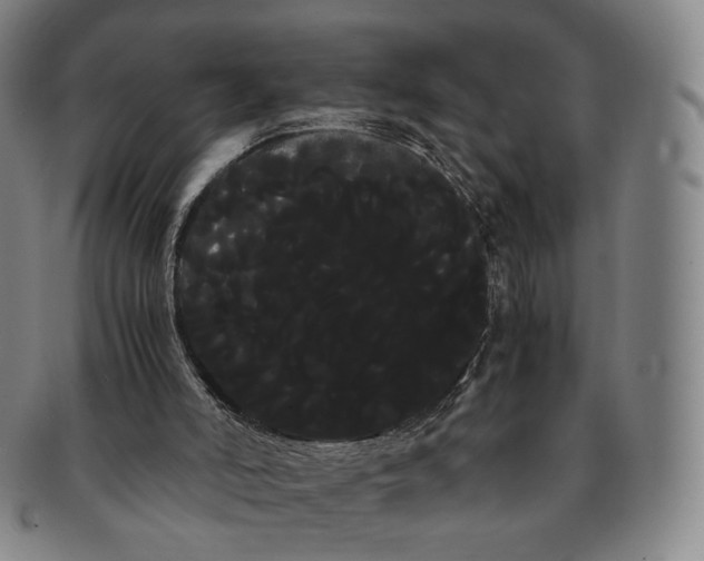 X0000091240006200708301549