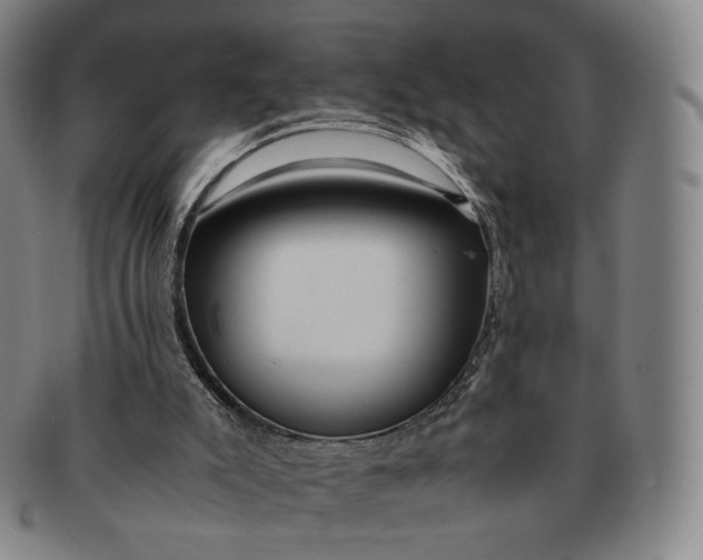 X0000091240007200708301549