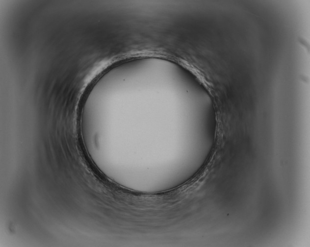 X0000091240008200708301549