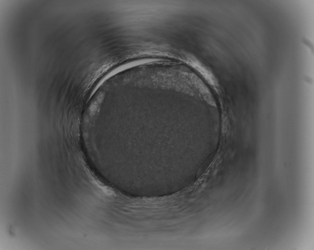 X0000091240009200708301549