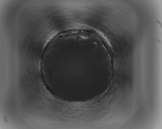 X0000091240010200708301549