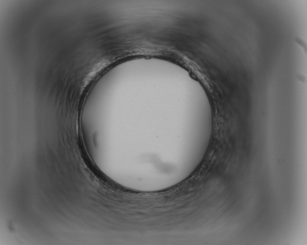 X0000091240011200708301549