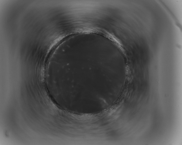 X0000091240012200708301549