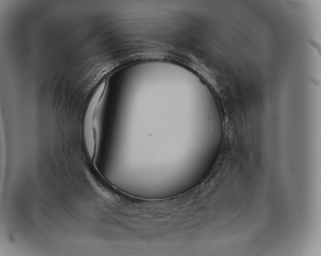 X0000091240013200708301549