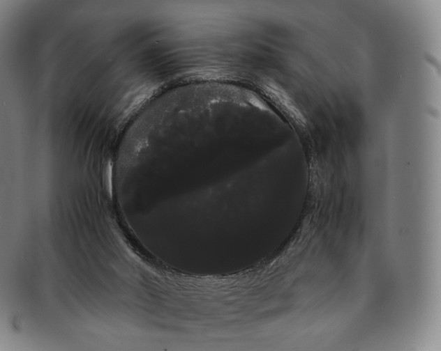 X0000091240014200708301549