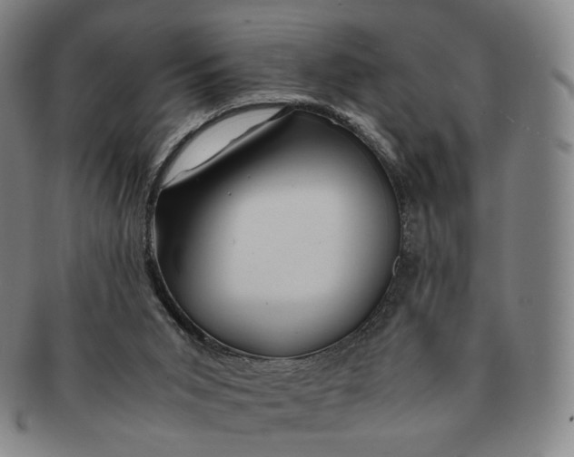 X0000091240015200708301549