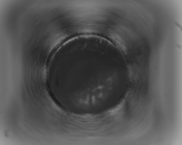 X0000091240016200708301549