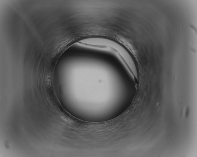 X0000091240017200708301549